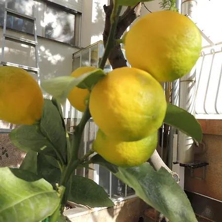 Ordan 503 Appartement Brodarica (Sibenik-Knin)