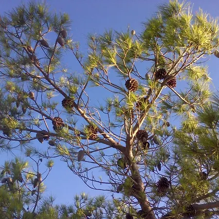 Ordan 503 Appartement *