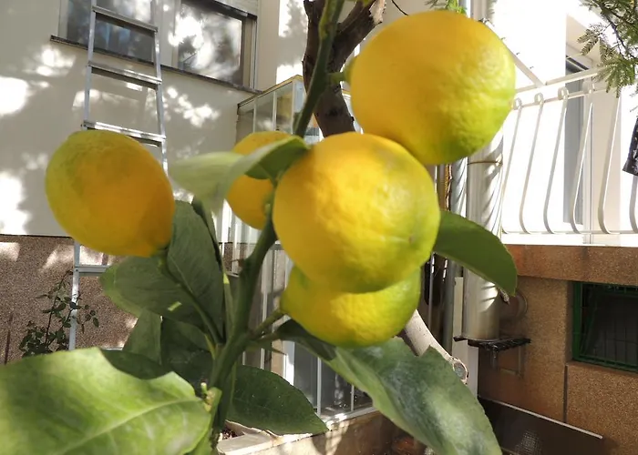 Ordan 503 Apartamento Brodarica (Sibenik-Knin)