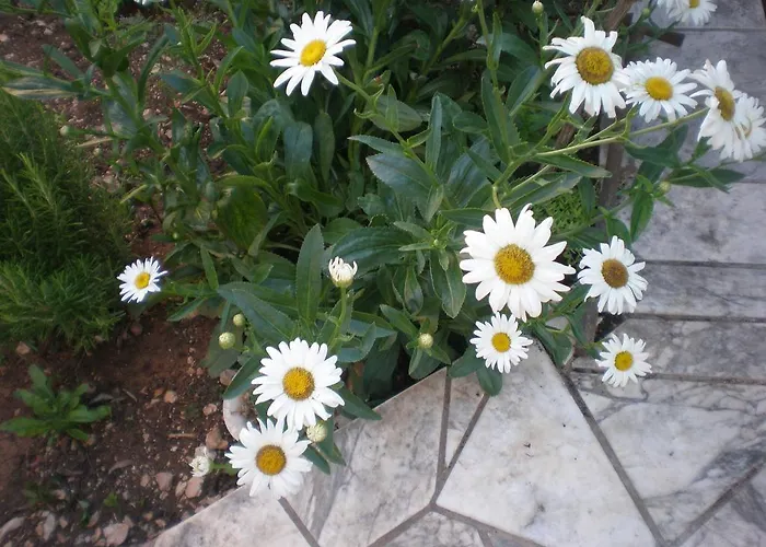 Ordan 503 Brodarica (Sibenik-Knin)