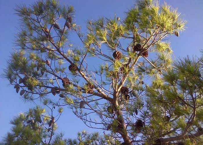 Ordan 503 Apartamento *