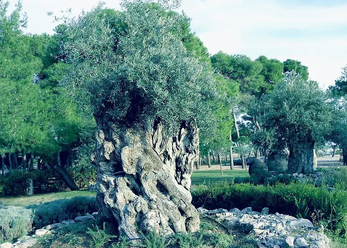 Apartamento Ordan 503